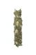 KLELIA DRESS OLIVE/IVORY FLORAL